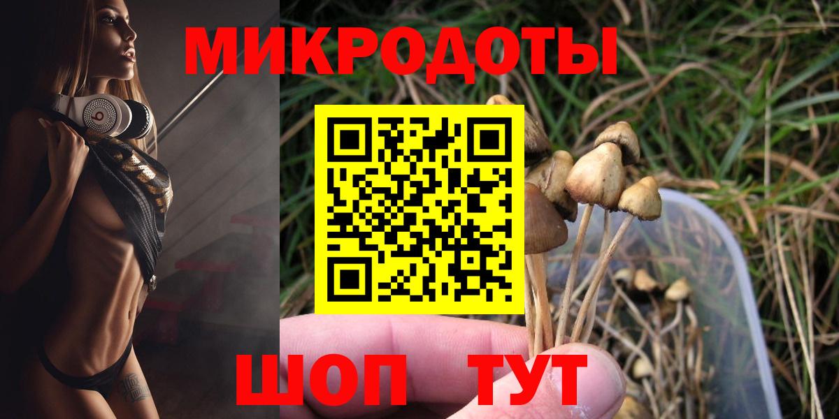 Псилоцибиновые грибы прущие грибы Конаково